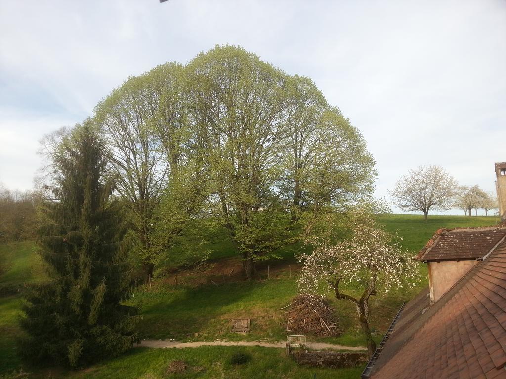 Gite 3 Du Chateau De Feschaux Villeneuve-sous-Pymont Exterior photo